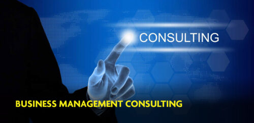 Business management consulting